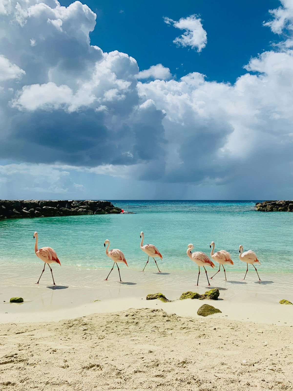 Personalized Aruba tour